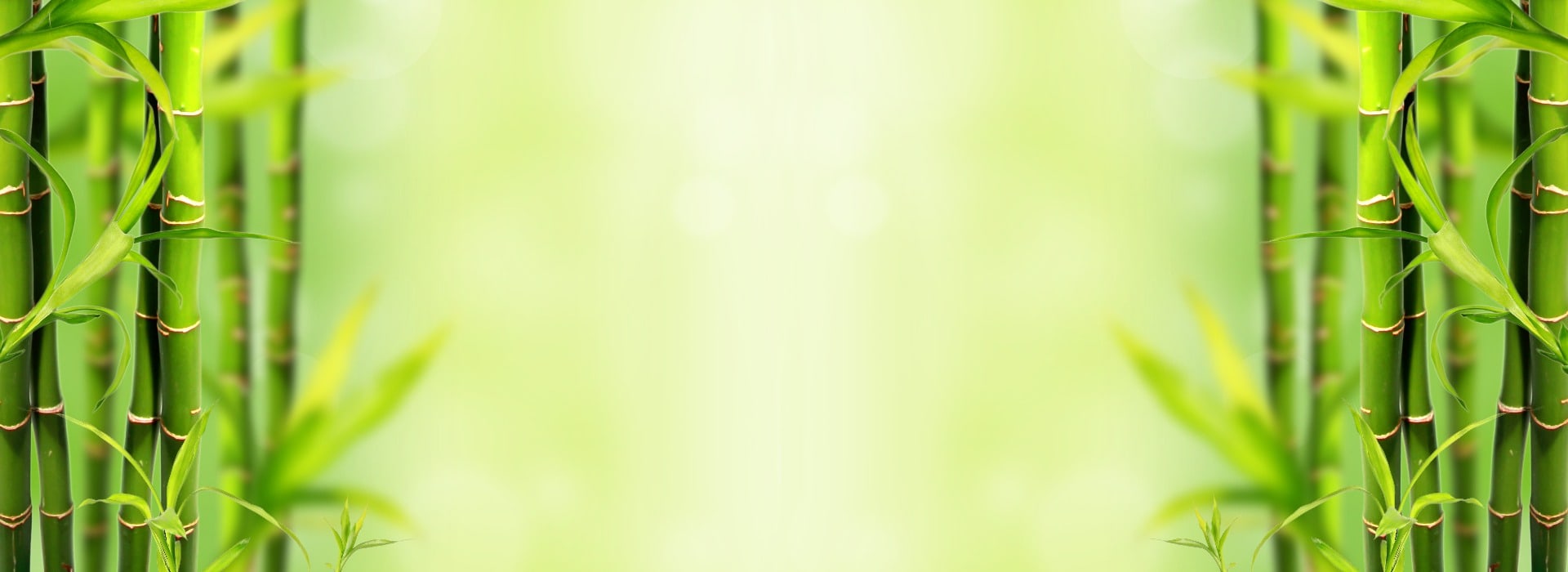 Bamboo background
