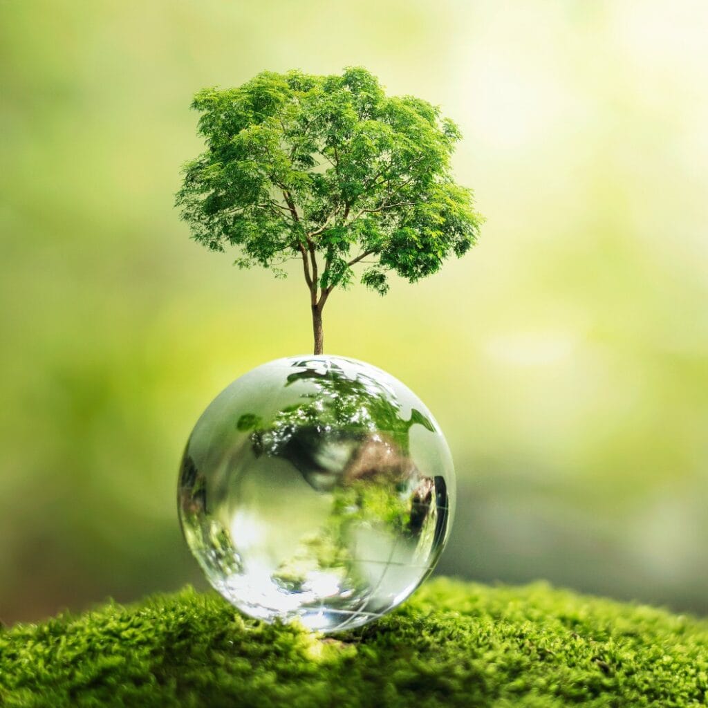 tree growth on globe glass in nature. concept eco earth day